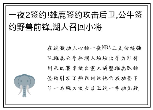 一夜2签约!雄鹿签约攻击后卫,公牛签约野兽前锋,湖人召回小将